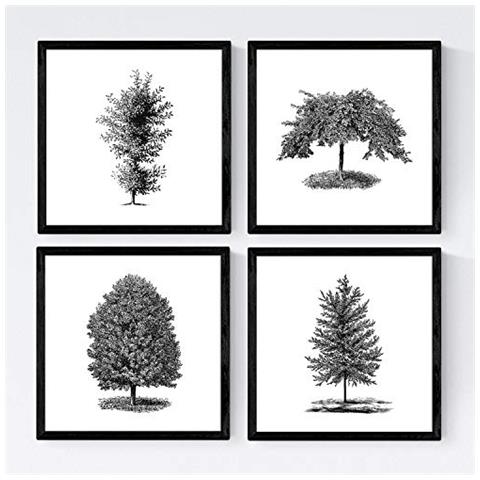 Set Di 4 Stampe Fogli Di Alberi. Alberi Ornamentali , Bianco 250g Poster Di Carta E Gli Inchiostri Di Alta Qualità. Senza Cornice 20x20 Cm - Foto 1