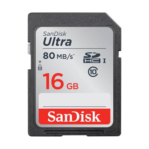 Secure Digital 16GB High-Capacity SDHC Class 10 - Foto 1