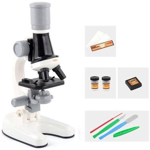 Microscopio per bambini Mini portatile con schermo: lente d'ingrandimento digitale portatile 500X con fotocamera HD - Giocattoli regalo per bambini da 3 a 12 anni, Monete, Piante, Scheda SD da 32 GB