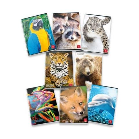 Quaderno Maxi A4 Rigatura 0c Righe 4a 5a Elementare E Superiori Acquisto Minimo 10 Pezzi O Multipli - Foto 2