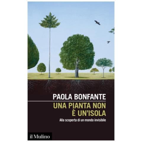 Paola Bonfante - Una Pianta Non È Un'isola. Alla Scoperta Di Un Mondo Invisibile - Foto 1