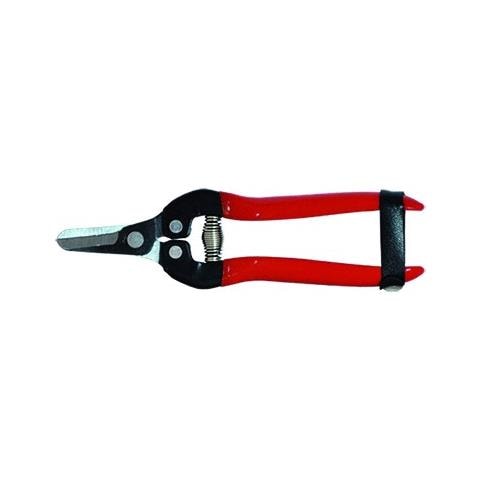 Forbici Cogliagrumi - Cm 16 - Foto 1