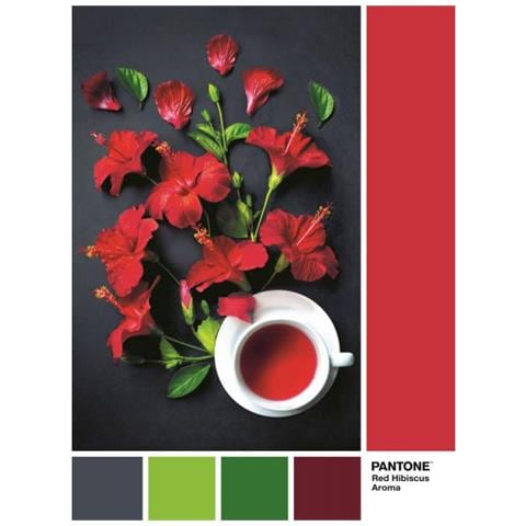 CLM39494 Puzzle da 1000 Pezzi - Pantone 3 - Foto 1