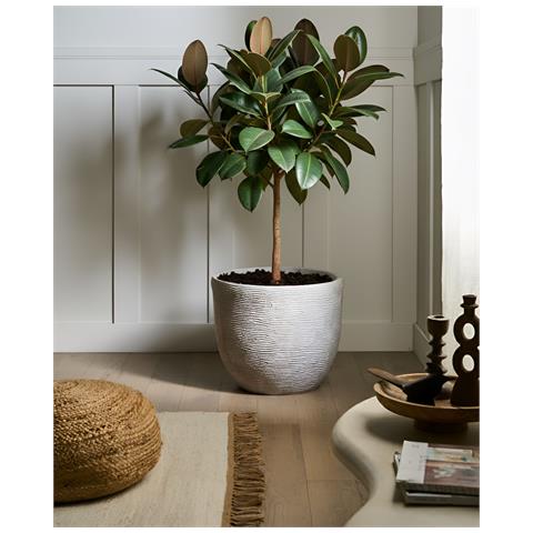 Vaso Per Piante Lixouri 47 Cm Grigio Chiaro - Foto 1