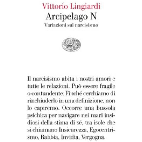 Vittorio Lingiardi - Arcipelago N. Variazioni Sul Narcisismo - Foto 1