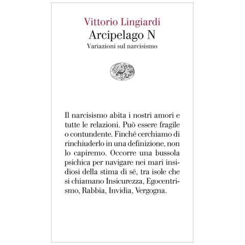 Vittorio Lingiardi - Arcipelago N. Variazioni Sul Narcisismo - Foto 2