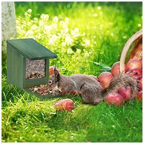 Squirrel Feeder Casa Nutrire Stazione Di Sicurezza In Piedi Legno Hwd 17.5 X 12 X 25 Cm Verde Scuro Legno E Plastica Confezione Da 1 - Foto 2