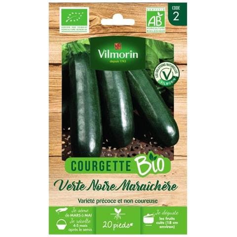 Maraichere Di Zucchine Verde Nero Biologico - Foto 1
