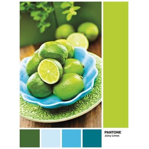 CLM39492 Puzzle da 1000 Pezzi - Pantone 1 - Foto 1