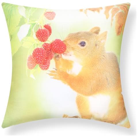 Set Di 2 Copricuscini 40x40 Cm Design Scoiattolo - Foto 1