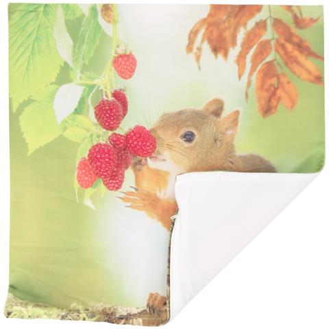 Set Di 2 Copricuscini 40x40 Cm Design Scoiattolo - Foto 5