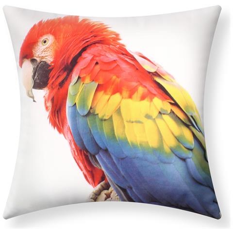 Set Di 2 Copricuscini 40x40 Cm Design Ara Rossa - Foto 1