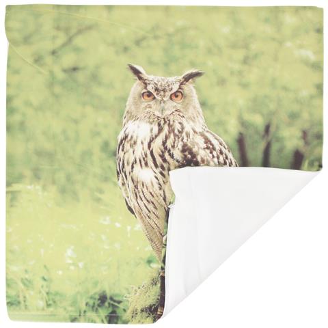 Set Di 2 Copricuscini 40x40 Cm Design Gufo - Foto 5