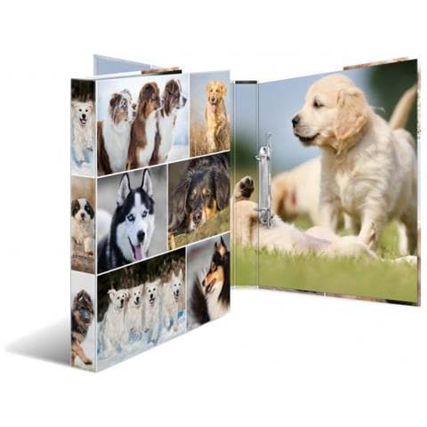 19427 Cartella Cartoncino Multicolore A4 - Foto 2