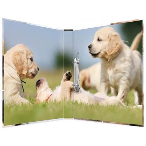 19427 Cartella Cartoncino Multicolore A4 - Foto 3