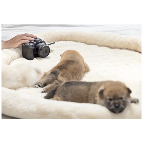 RF-S 7.8mm F4 STM DUAL MILC Lente stereoscopica Nero - Foto 15