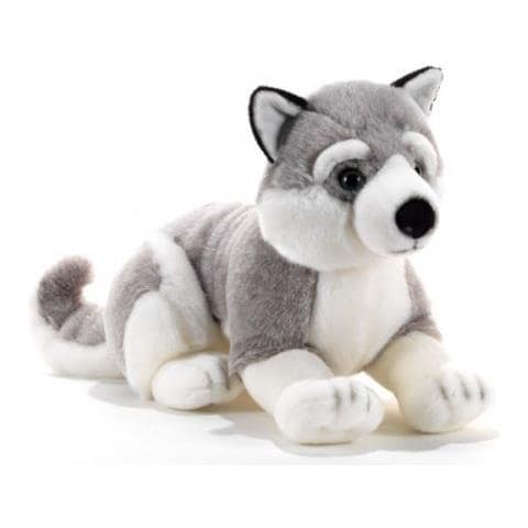 Peluche Cane Husky Plush & Company 15754 L. 50 Cm - Foto 1