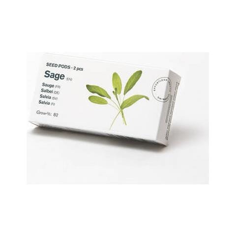 Capsule Di Semi Salvia Due Pezzi - Foto 6