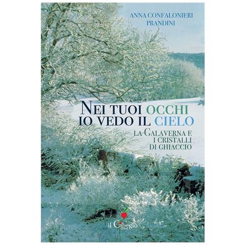 Anna Confalonieri Prandini - Nei tuoi occhi io vedo il cielo. La galaverna e i cristalli di ghiaccio - Foto 1