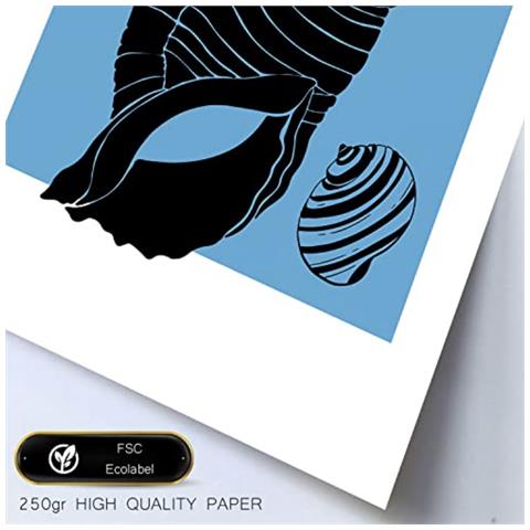 Set Di 6 Stampe Stampe Artistiche Di Lumache Di Mare Con Inchiostro Nero, Raffiguranti Mare E Oceano, Per L'interior Design A3 & A4 Cornice Bianca - Foto 1