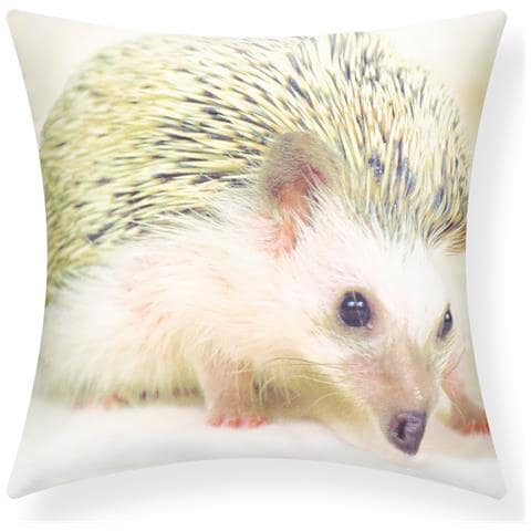 Set Di 2 Copricuscini 40x40 Cm Design Riccio - Foto 1