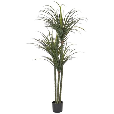 Pianta Artificiale In Vaso 198 Cm Dracaena Anita - Foto 5
