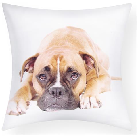 Set Di 2 Copricuscini 40x40 Cm Design Cane Boxer - Foto 1