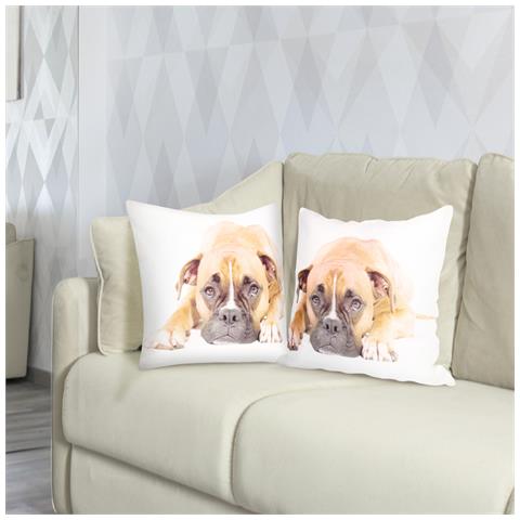 Set Di 2 Copricuscini 40x40 Cm Design Cane Boxer - Foto 5