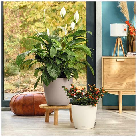 Vaso Classico Color 28 Bianco Ø27,5xh26cm - Foto 2