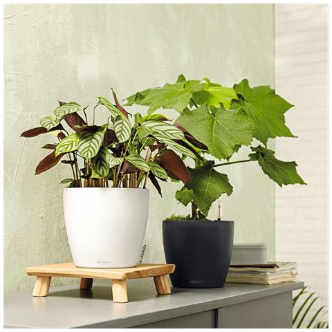 Vaso Classico Color 28 Bianco Ø27,5xh26cm - Foto 10