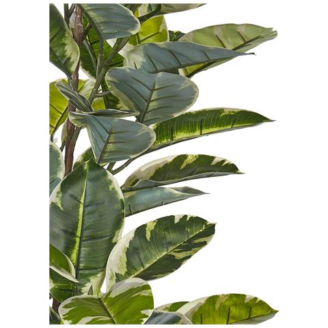 Pianta Artificiale In Vaso 160 Cm Ficus Elastica - Foto 2
