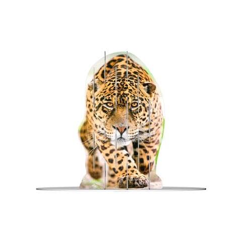 4S Vision Wild Cats Puzzle 3D Fauna - Foto 2