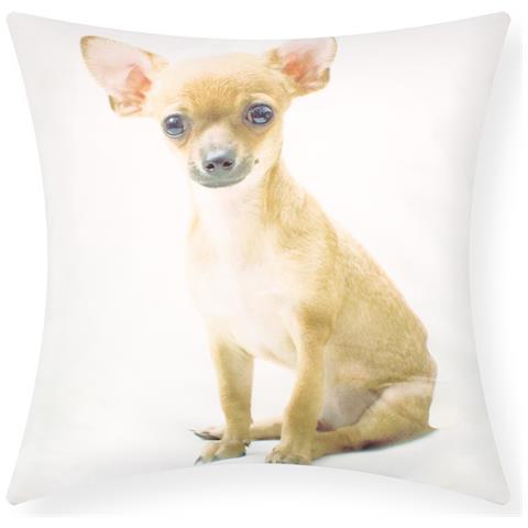 Set Di 2 Copricuscini 40x40 Cm Design Chihuahua - Foto 1