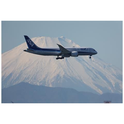 RF 1200mm F8 L IS USM EU26 MILC Obiettivo super-teleobiettivo Nero, Bianco - Foto 2