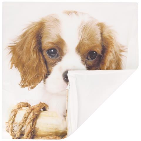 Set Di 2 Copricuscini 40x40 Cm Design Cane King Charles - Foto 2