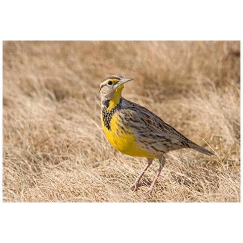 420-800mm F 83-16 Teleobiettivo Obiettivo Zoom Per Nikon D7100 Fotocamera Digitale D80 D90 D600 D5000 D5100 D3200 D7000 D7200 Reflex Manuale Con Lega Di Alluminio Nero - Foto 4