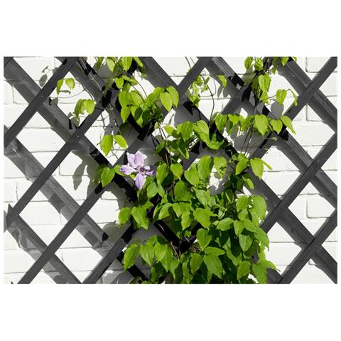 Traliccio Da Giardino 50x150 Cm In Pvc Antracite - Foto 3