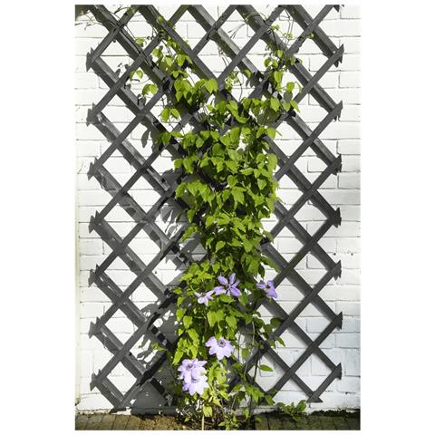 Traliccio Da Giardino 50x150 Cm In Pvc Antracite - Foto 1