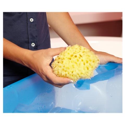 Spugna Naturale Arcipelago - Foto 8