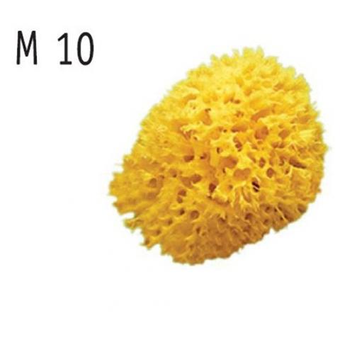 Spugna Naturale Arcipelago - Foto 1