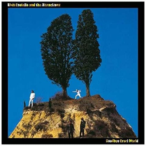 Elvis Costello - Goodbye Cruel World - Foto 1