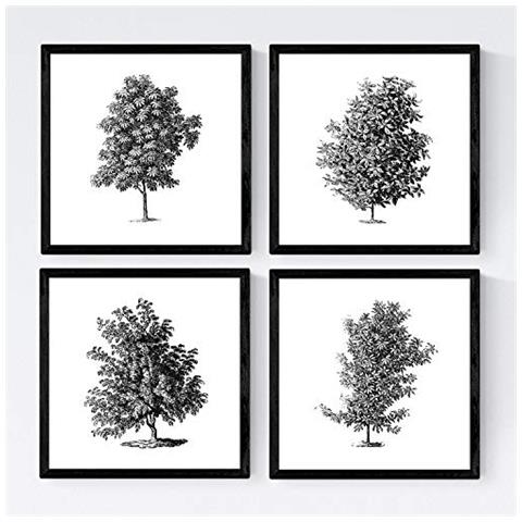 Set Di 4 Stampe Fogli Di Alberi Alberi Rami Frondosi Di Taglia Carta Bianca Di Poster Di Sfondo E Inchiostri Di Alta Qualità Senza Cornice 20x20 Cm - Foto 1