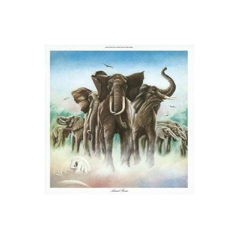 Elvis Costello - Armed Forces (Lp+Sp)  - Foto 2