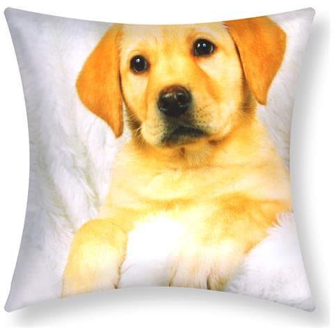 Set Di 2 Copricuscini 40x40 Cm Design Cane Da Pelliccia - Foto 1