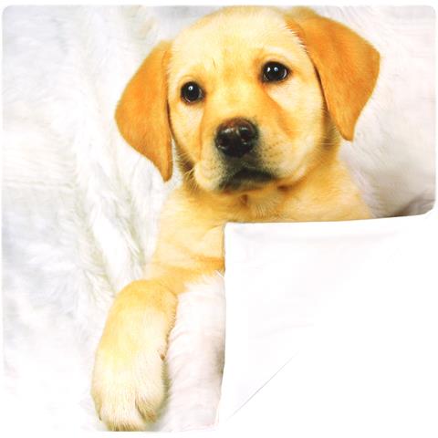 Set Di 2 Copricuscini 40x40 Cm Design Cane Da Pelliccia - Foto 5