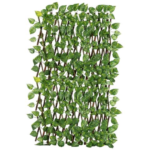Traliccio Potos Foglie Rampicante Verde Frangivista Recinzione Giardino Balcone 1x2mt - Foto 1