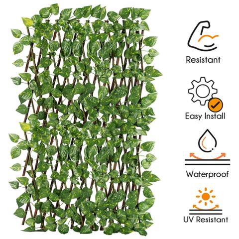 Traliccio Potos Foglie Rampicante Verde Frangivista Recinzione Giardino Balcone 1x2mt - Foto 3