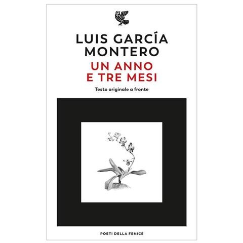 Garcia Montero Luis - Un anno e tre mesi. Testo originale a fronte - Foto 1