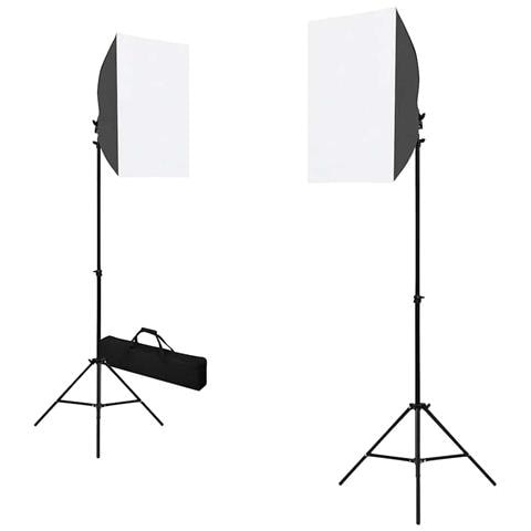 Luci Professionali da Studio 2 pz 40x60 cm in Acciaio Nero - Foto 3
