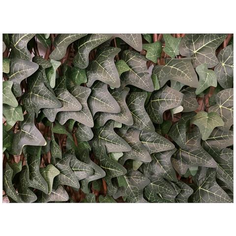 Traliccio Edera Rampicante Verde Frangivista Recinzione Giardino Balcone 1x2mt - Foto 2